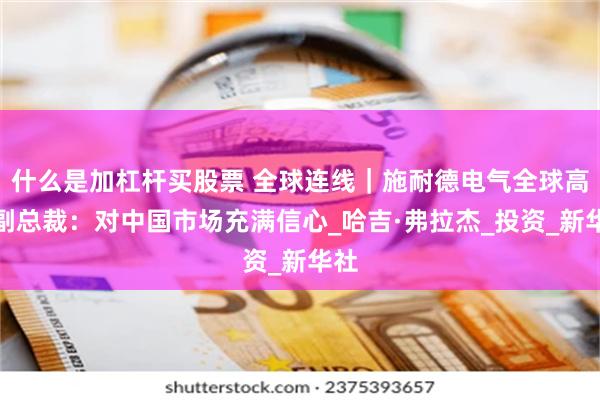 什么是加杠杆买股票 全球连线｜施耐德电气全球高级副总裁：对中国市场充满信心_哈吉·弗拉杰_投资_新华社