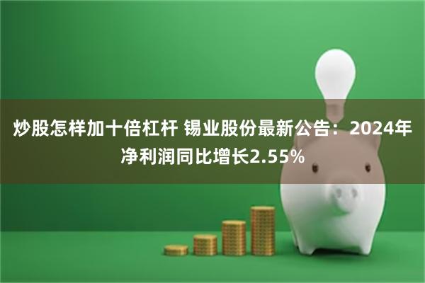 炒股怎样加十倍杠杆 锡业股份最新公告：2024年净利润同比增长2.55%