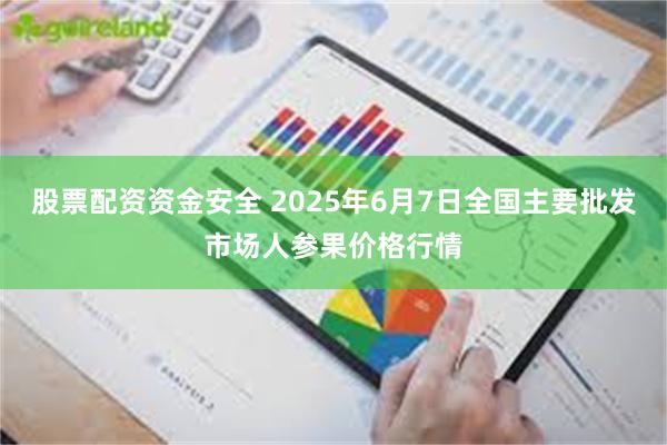 股票配资资金安全 2025年6月7日全国主要批发市场人参果价格行情