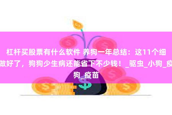 杠杆买股票有什么软件 养狗一年总结：这11个细节做好了，狗狗少生病还能省下不少钱！_驱虫_小狗_疫苗