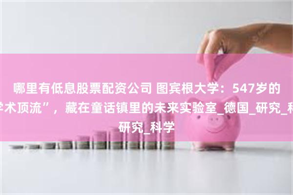 哪里有低息股票配资公司 图宾根大学：547岁的“学术顶流”，藏在童话镇里的未来实验室_德国_研究_科学